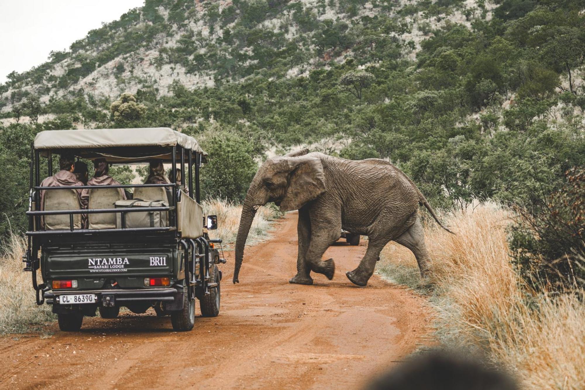 Ntamba Safari Lodge Matlhagame 外观 照片